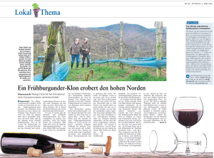 Artikel der Rhein-Zeitung vom Mittwoch, 06.04.2016